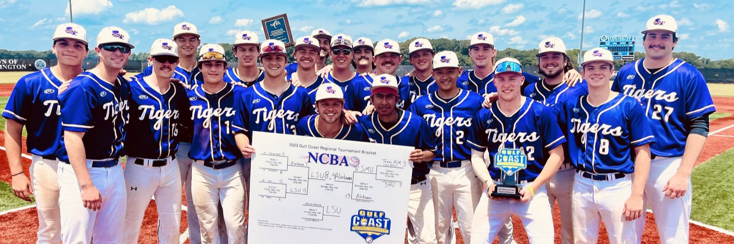 LSU Club Baseball banner
