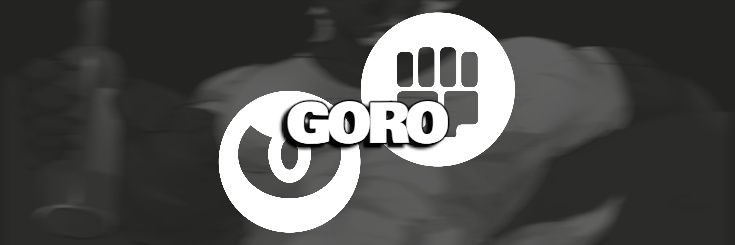 𝗛𝗔𝗠𝗠𝗘𝗥 ▪ 𝗔𝗥𝗠 banner