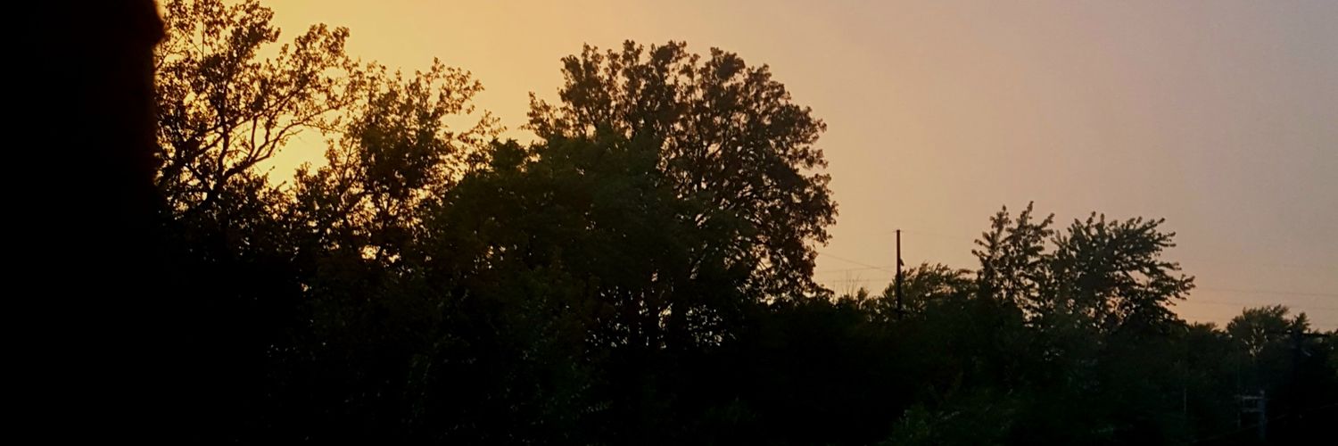 gitsiemonster's profile banner image