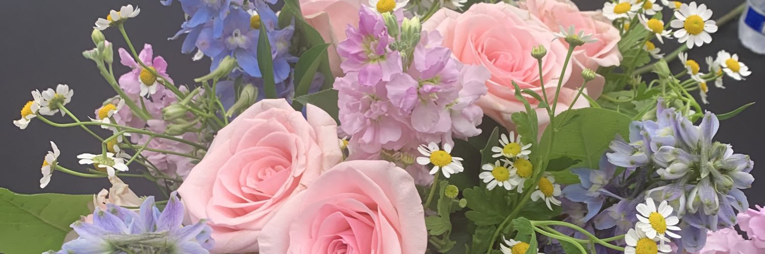 DaisyClvr's profile banner image