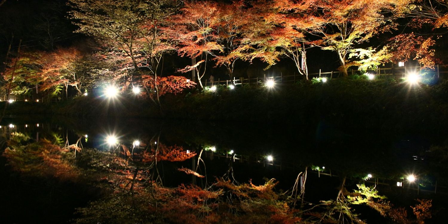 ta8092's profile banner image