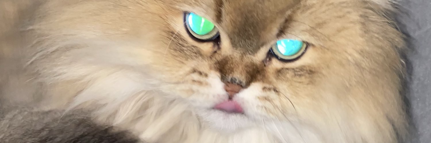 Tatiana banner