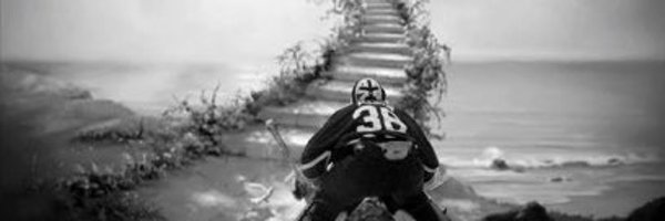 DellsDucks Profile Banner