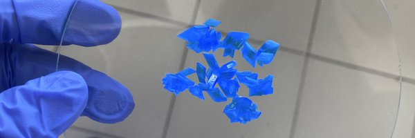 andrea_lopezALM Profile Banner