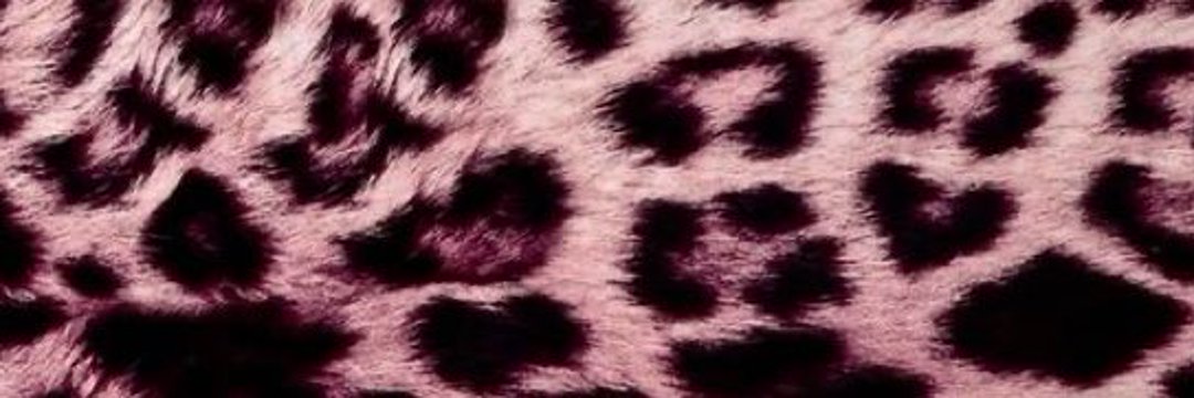 🖤 ♡ 🖤 ♡🖤 banner