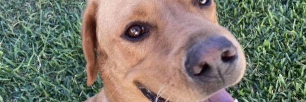 fercarro_'s profile banner image