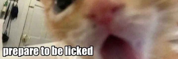 wasted0910's profile banner image