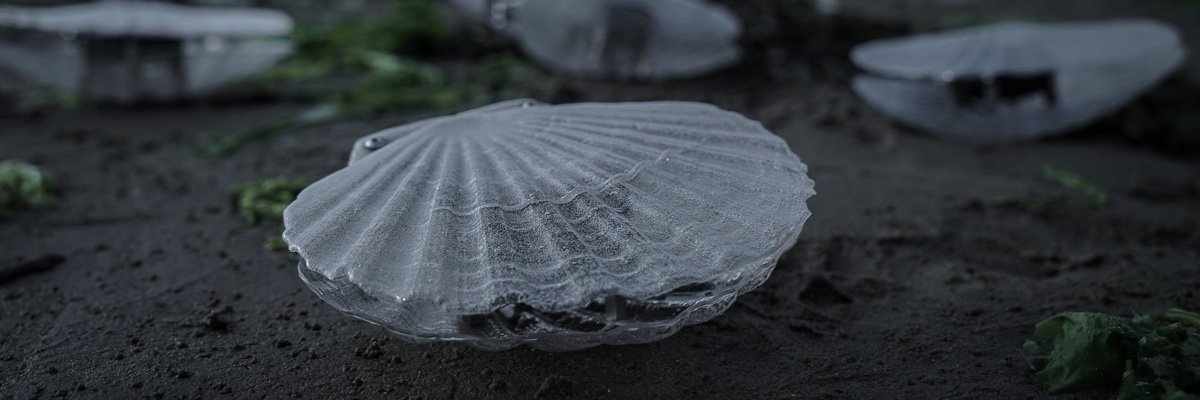 marco barotti banner