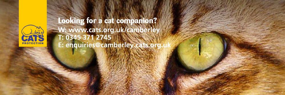 camberleycats's profile banner image