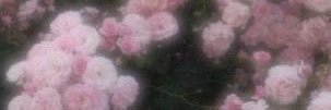 ﾄ ﾘ ﾋ ｷ banner