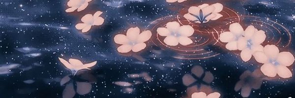 user_0243 Profile Banner