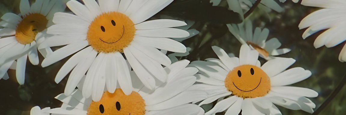 pinklemon banner