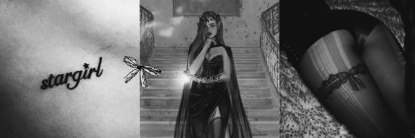 feyreangel Profile Banner