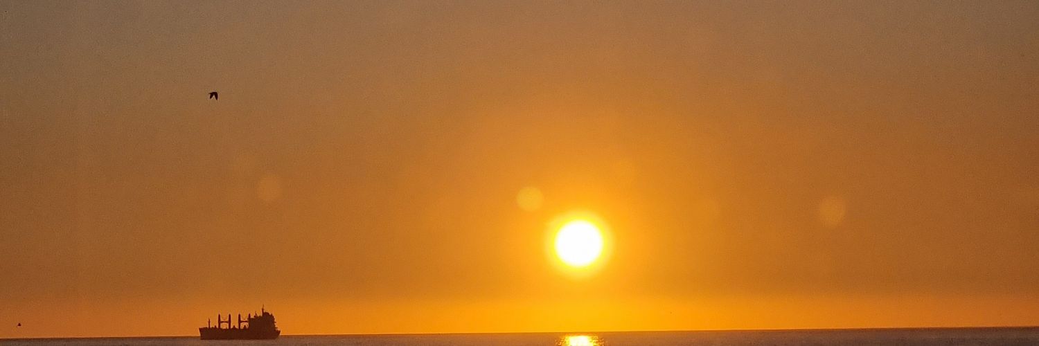 XVASofia's profile banner image