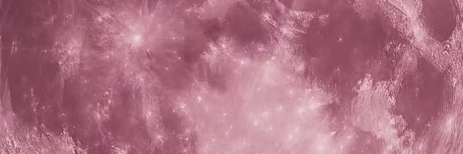 rikiliciouss's profile banner image