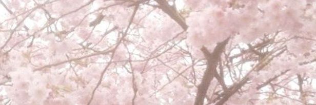 ᨦ‌ ׅ ۟ ֪ 🍥 ִ ׄ nynyca banner