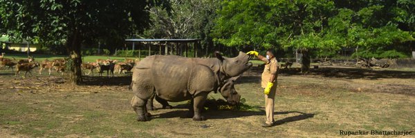 assamzoo Profile Banner