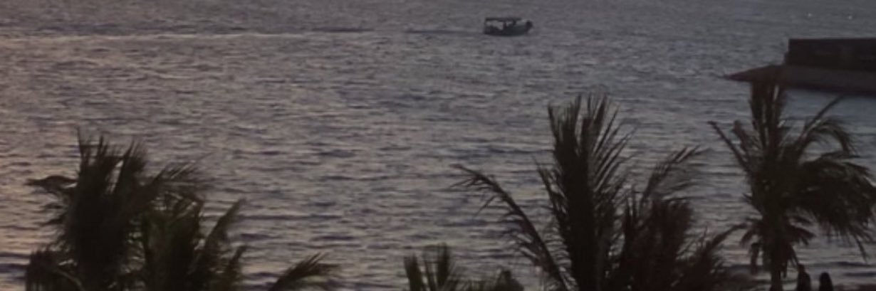 . banner