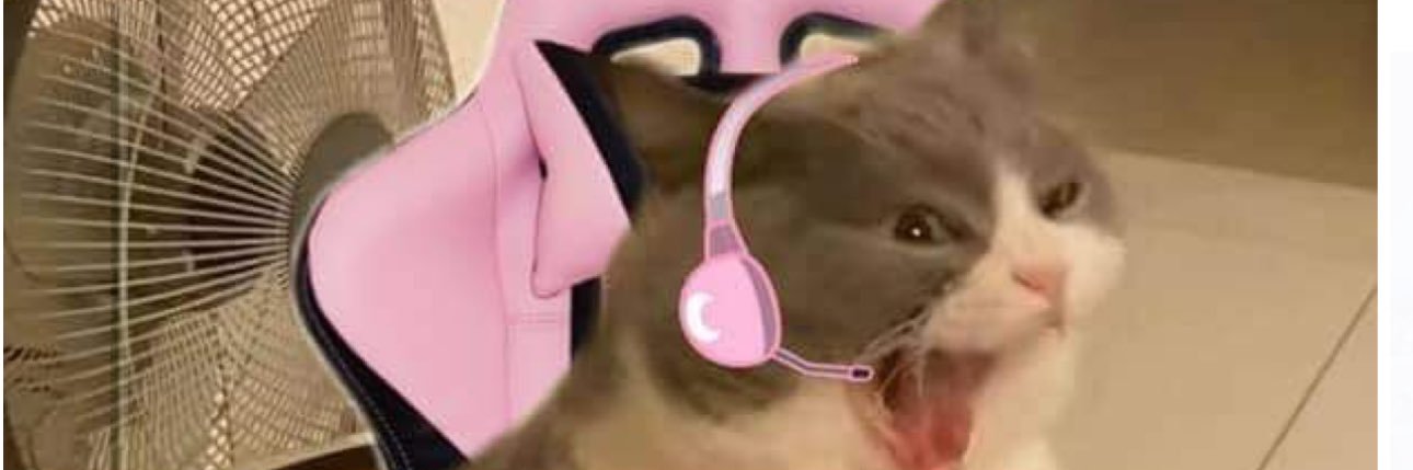 verykkkka's profile banner image