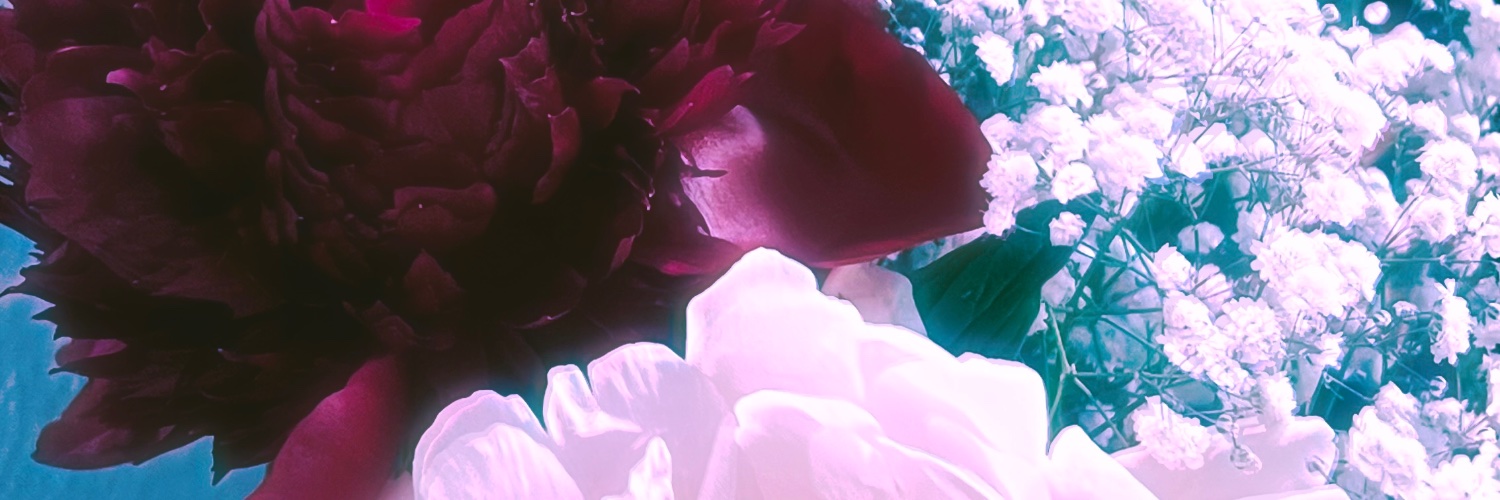 ShinyFlesh's profile banner image