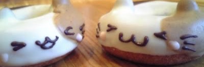 aves ⊹ ࣪ ˖ banner