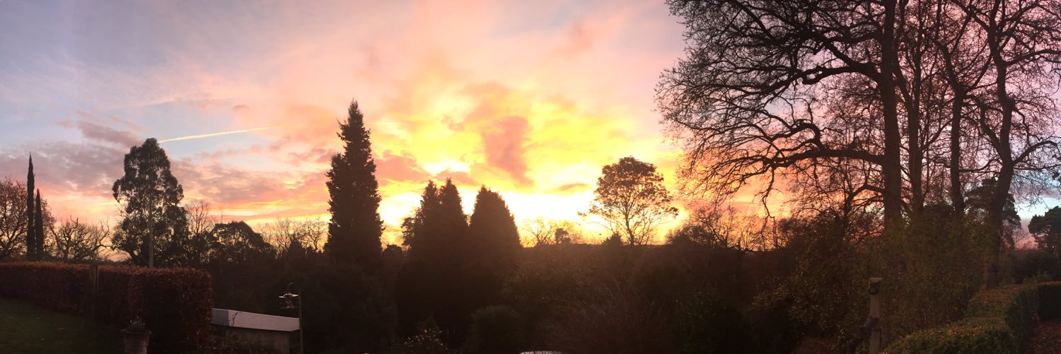 Hester Mackay banner