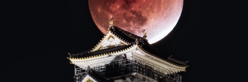 長谷川吉田 Hasegawa Yoshida banner