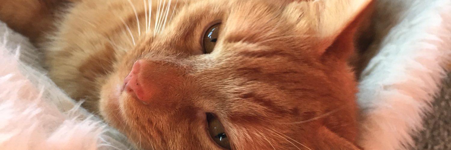 Jonesey26's profile banner image