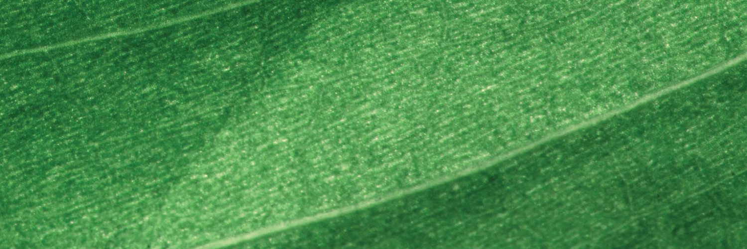 UHCLOrientation's profile banner image