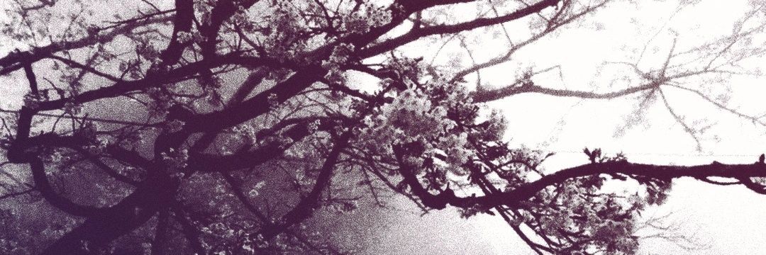 سَــديــل banner