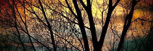 SandyBoyd60's profile banner image