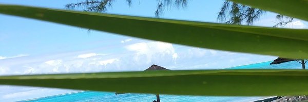 AmyBarseghian Profile Banner