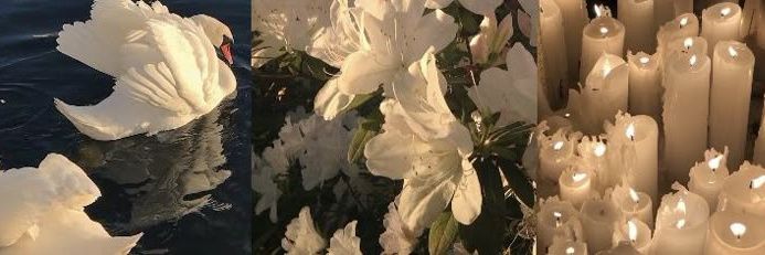 𝐒. 𝑷𝒂𝒓𝒌𝒆𝒓⭒ banner