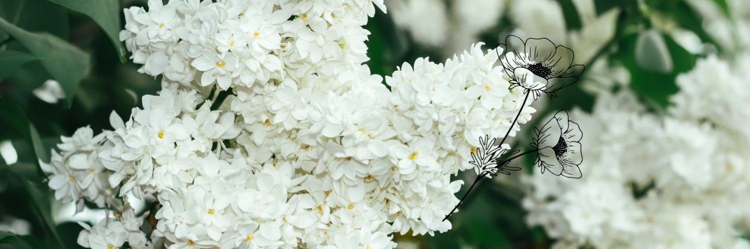 amsledge's profile banner image