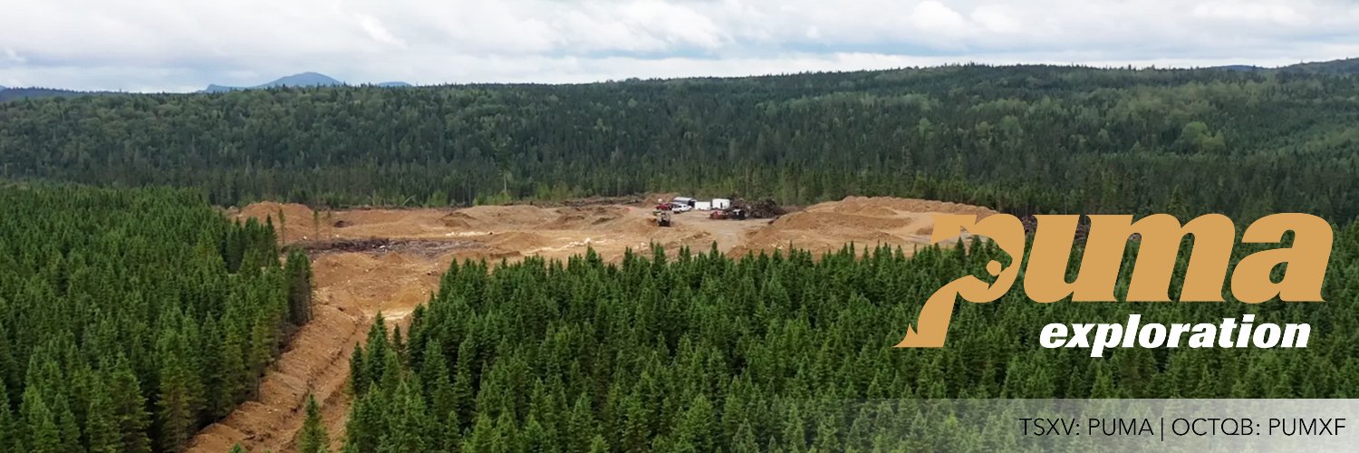 Puma Exploration banner