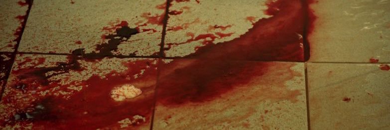 amajesticdevil's profile banner image