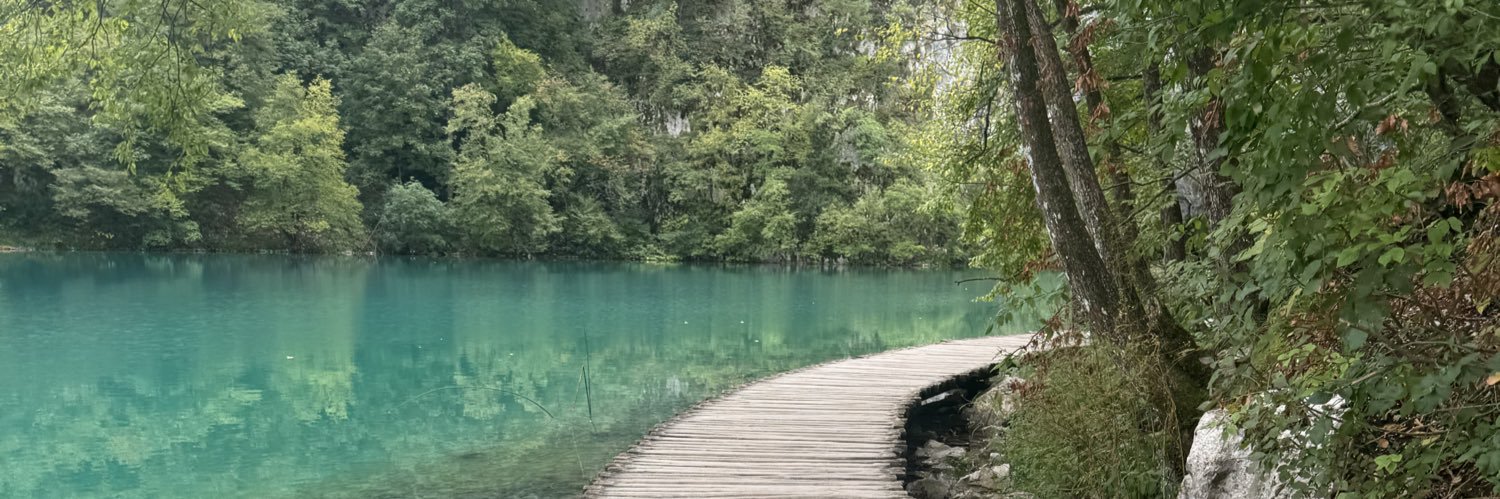 optimisticninersfan banner