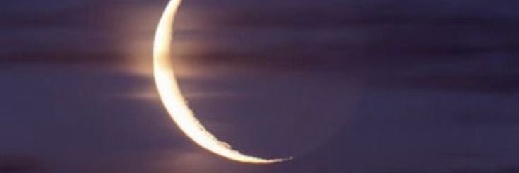 dirk digler banner