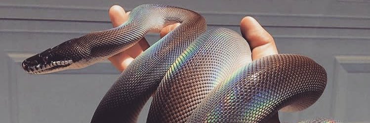 Amy_M_x's profile banner image