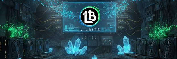 lilbitsfun's profile banner image