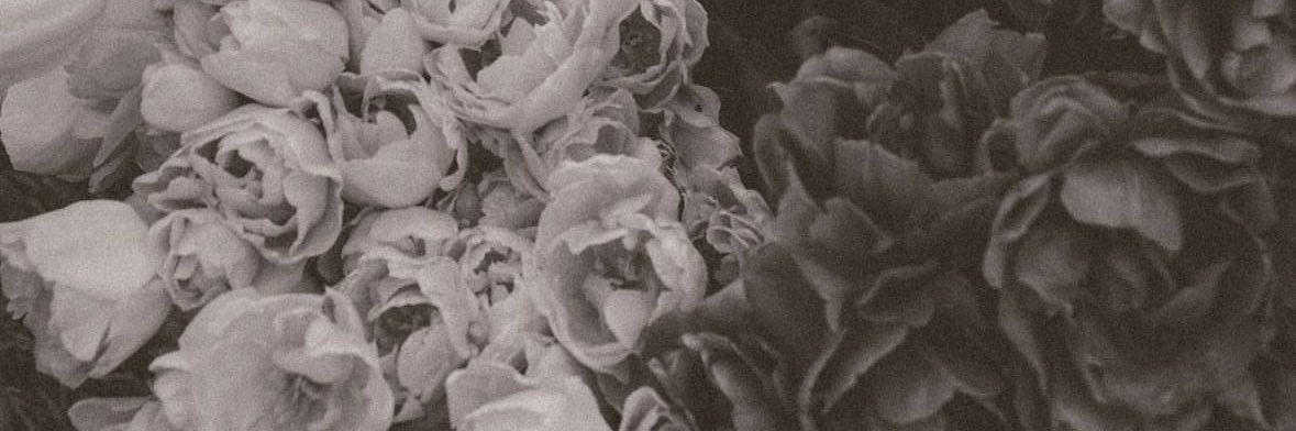 _quiros22's profile banner image