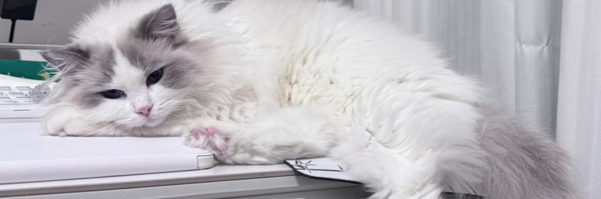 SweetyIce134879's profile banner image