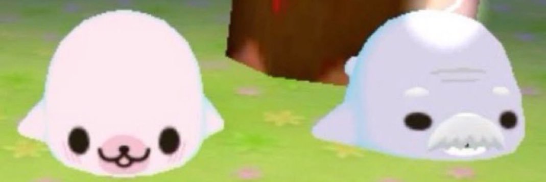 🦭 banner