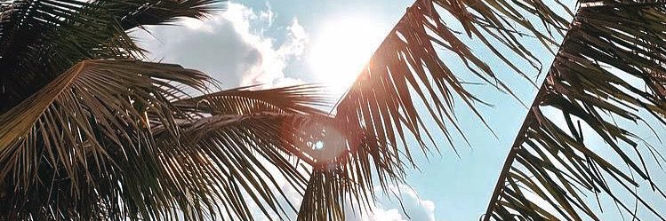 AndreaaaRosado's profile banner image