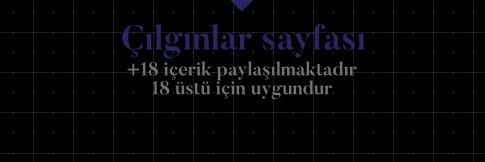 ÇILGINLAR banner