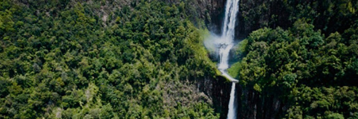 BEAInternationa's profile banner image