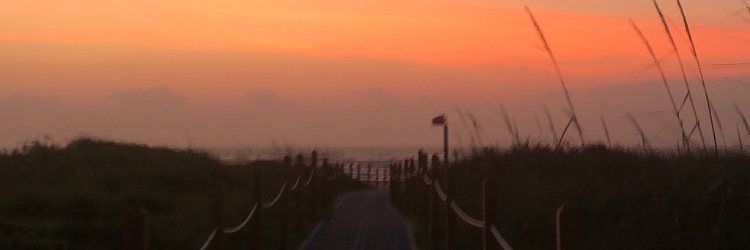 ssteph__'s profile banner image