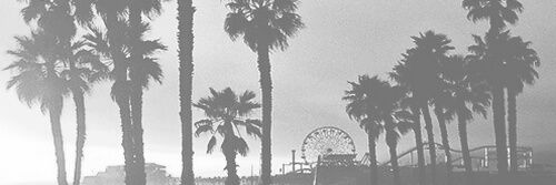 tqa4vid's profile banner image