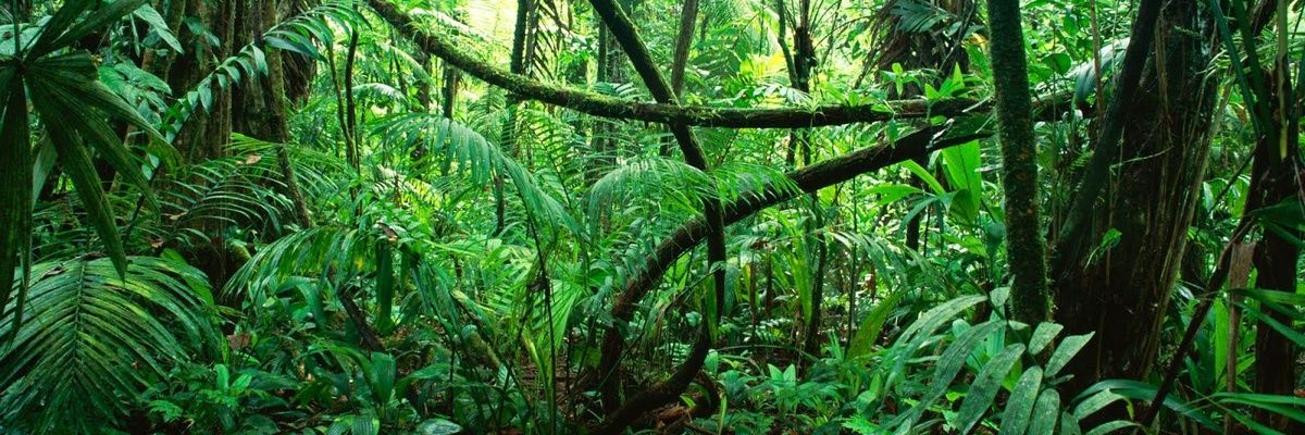 bangress__'s profile banner image