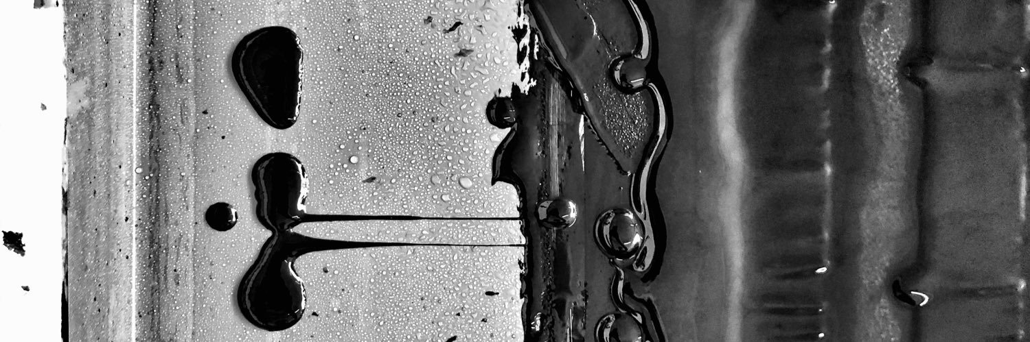 White Duck Editions banner